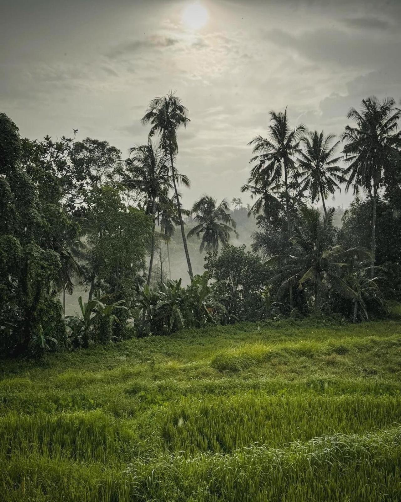 Nirwa Ubud Karma Εξωτερικό φωτογραφία