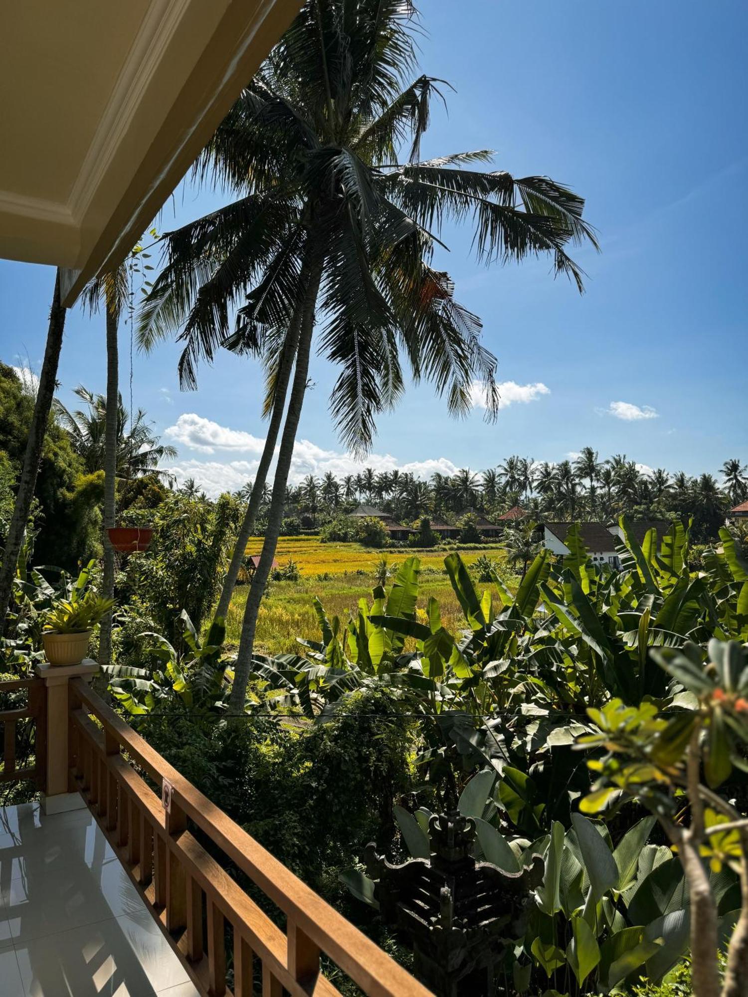 Nirwa Ubud Karma Εξωτερικό φωτογραφία