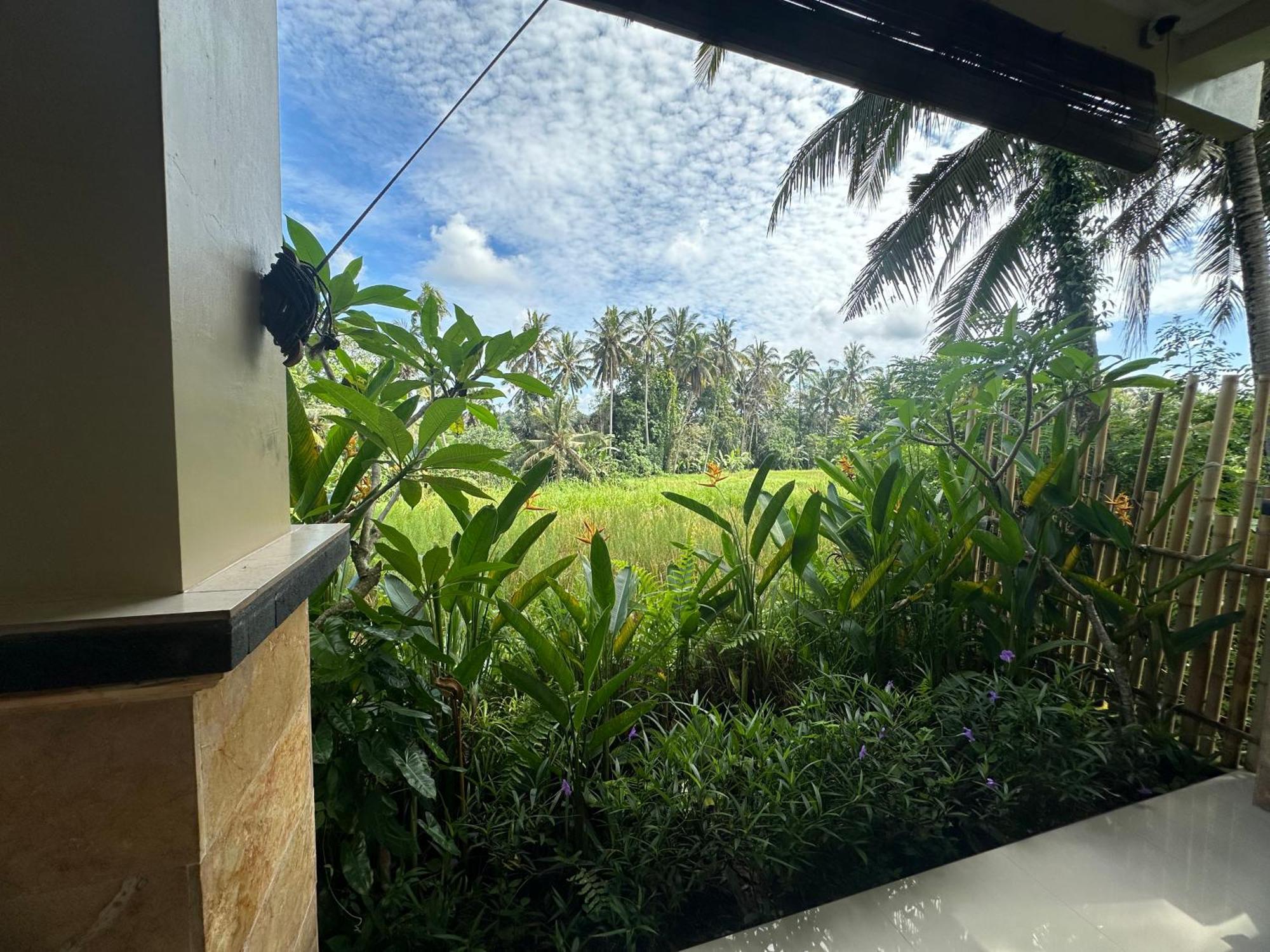 Nirwa Ubud Karma Εξωτερικό φωτογραφία