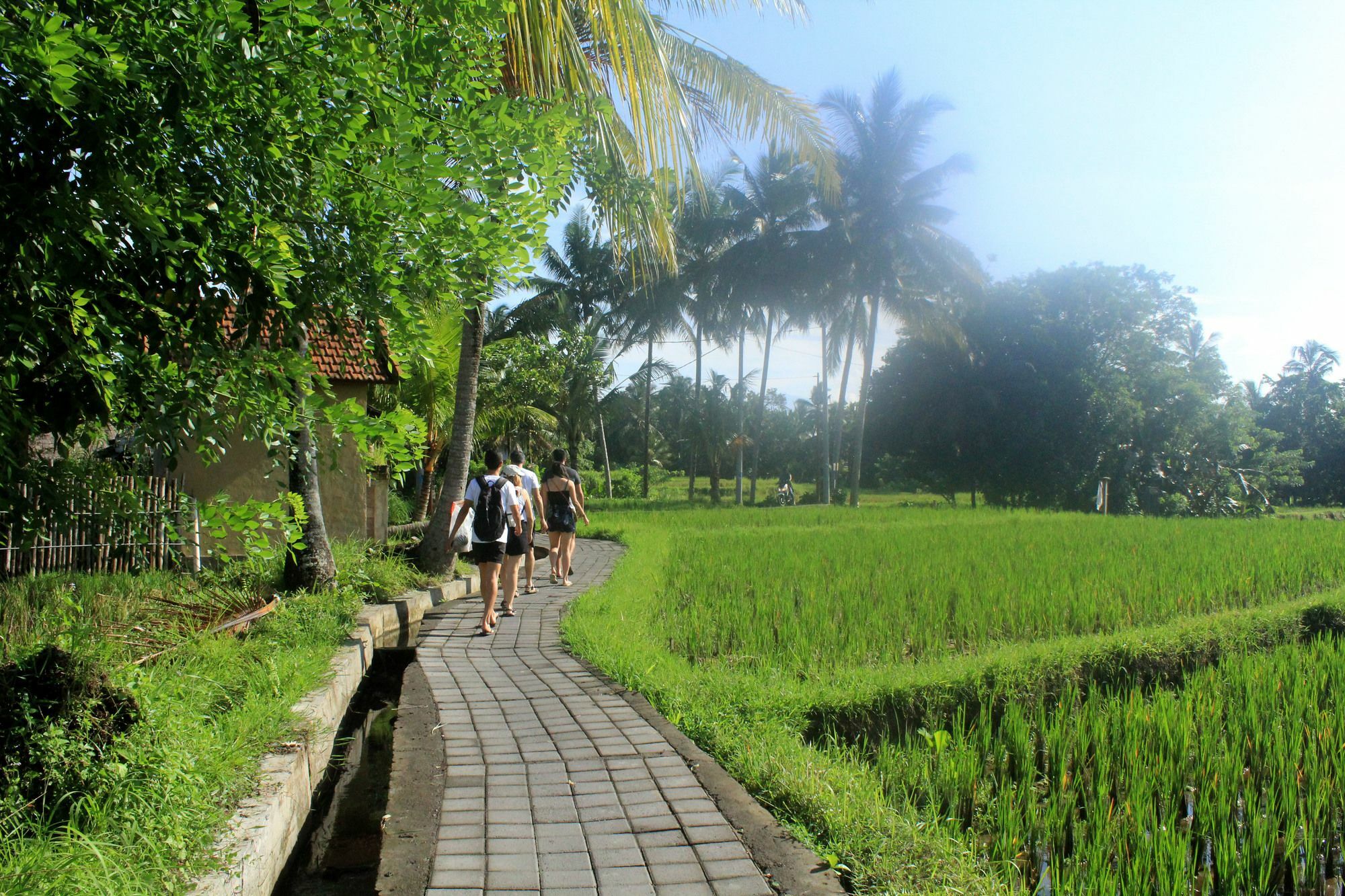 Nirwa Ubud Karma Εξωτερικό φωτογραφία